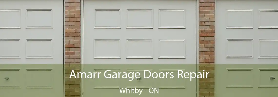 Amarr Garage Doors Repair Whitby - ON