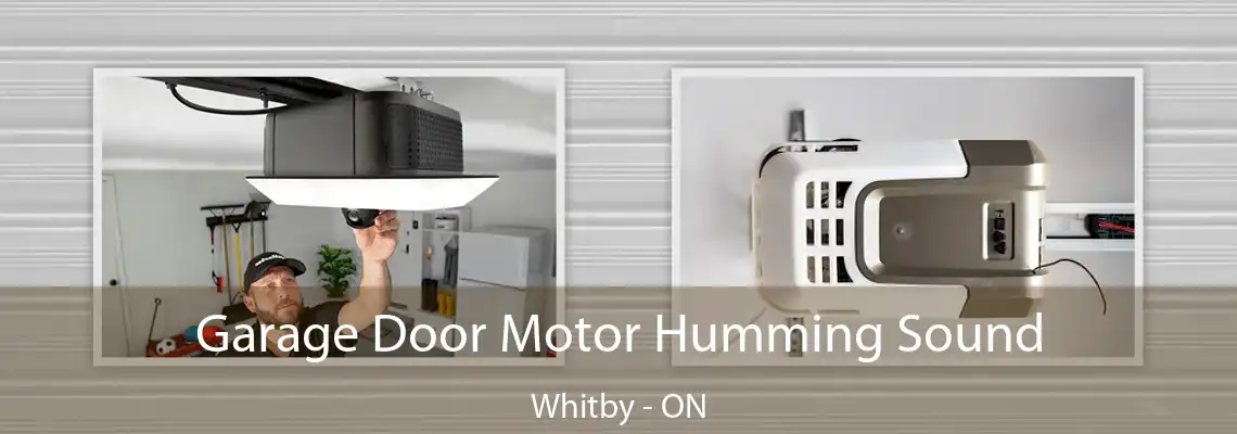 Garage Door Motor Humming Sound Whitby - ON