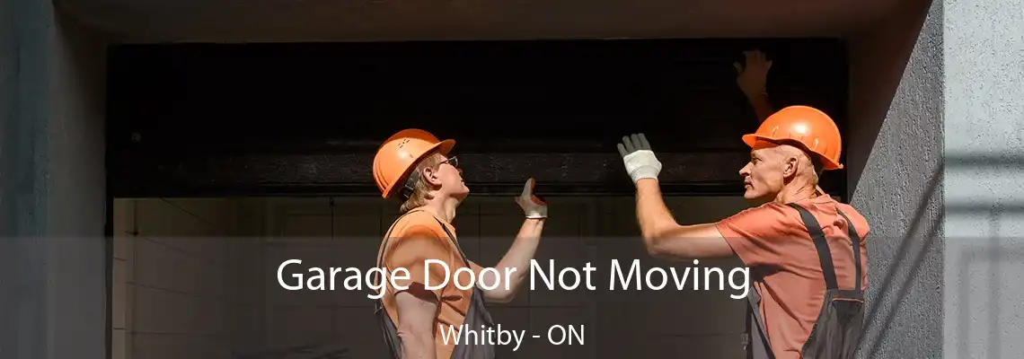 Garage Door Not Moving Whitby - ON
