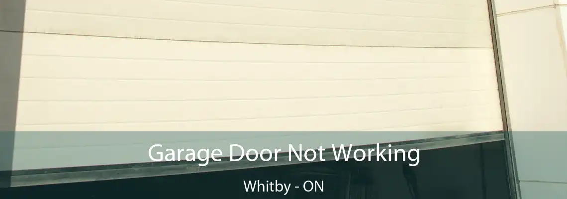 Garage Door Not Working Whitby - ON