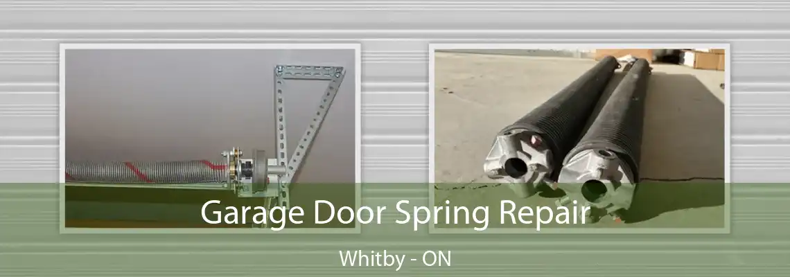 Garage Door Spring Repair Whitby - ON