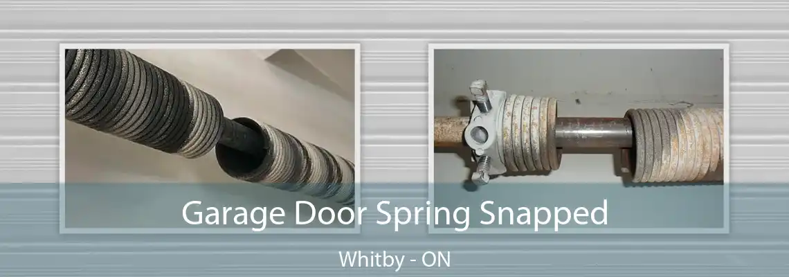 Garage Door Spring Snapped Whitby - ON