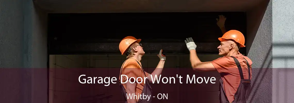 Garage Door Won't Move Whitby - ON