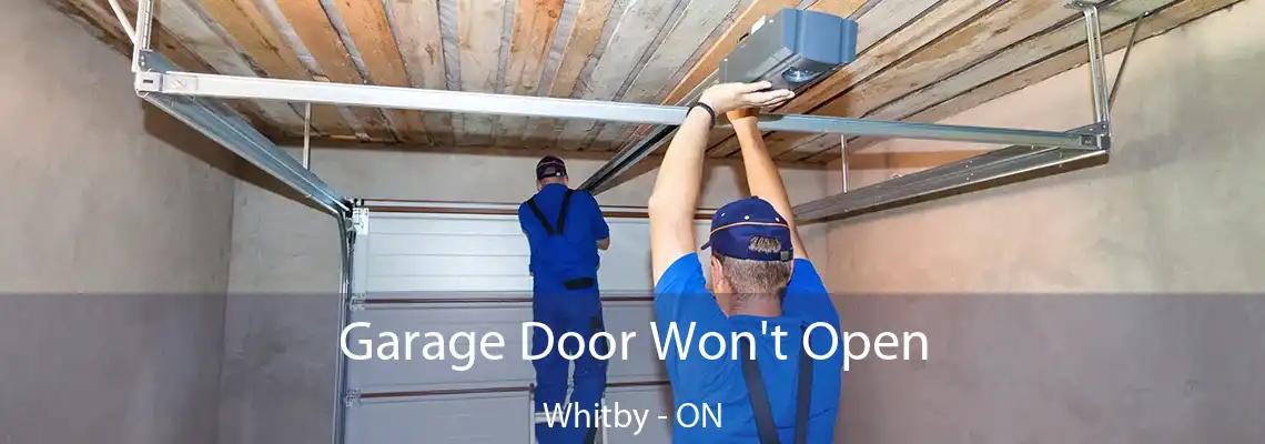Garage Door Won't Open Whitby - ON